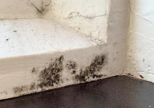 Tips for Preventing Mold and Mildew Growth on Sealed Surfaces